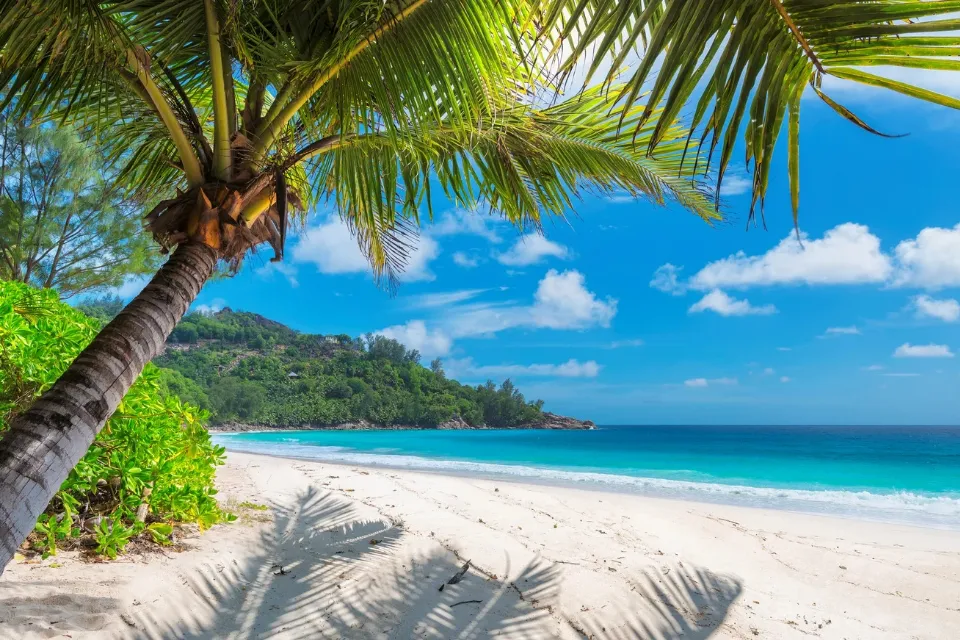 Las playas paradisíacas y el reggae de Jamaica