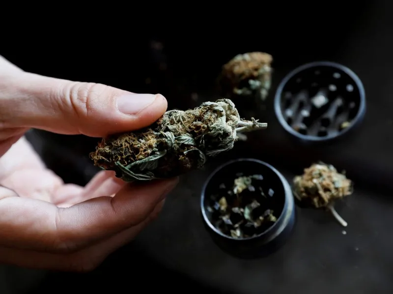 España aprueba el uso terapéutico del cannabis en hospitales|Foto: EFE/Ana Escobar