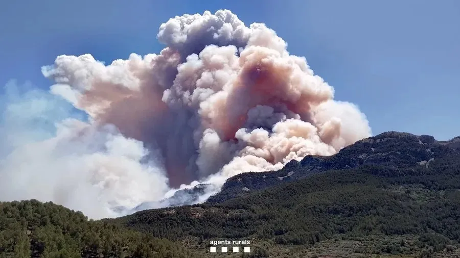 El incendio forestal de Paüls (Tarragona)|Foto: EFE/Agents Rurals
