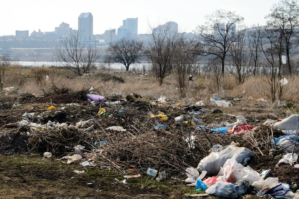 contaminación ambiental
