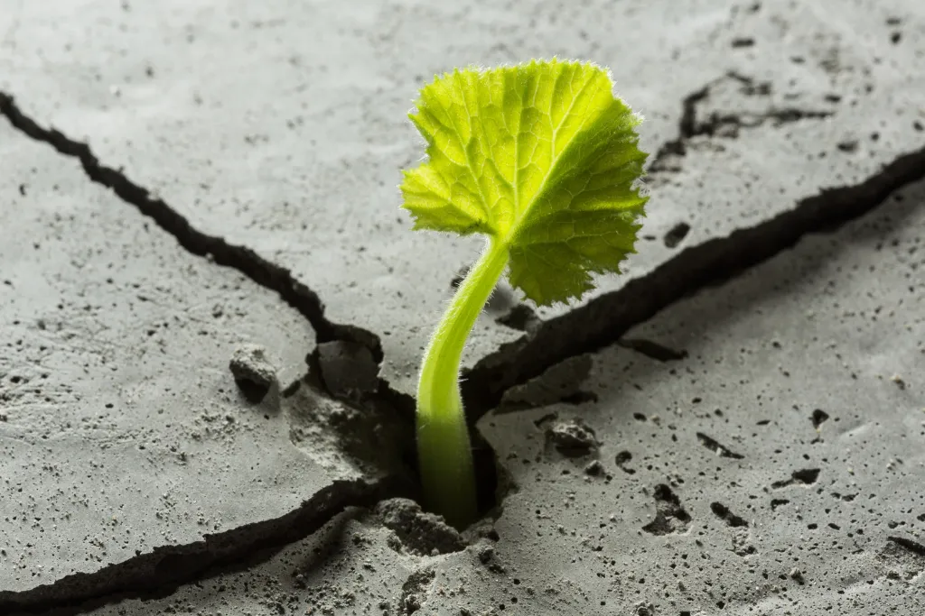 20240310_120122_0000