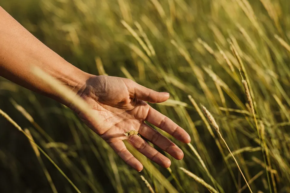 20240324_204655_0000