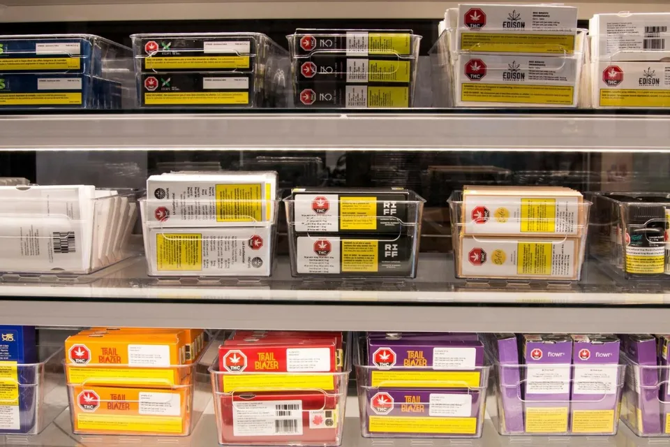 Comunidad de Madrid - productos derivados de la marihuana - Foto: EFE/Julio César Rivas La Comunidad de Madrid aprobará en 2025 una reforma legal que limitará la publicidad de los productos derivados de la marihuana y su venta a menores de edad. EFE/Julio César Rivas