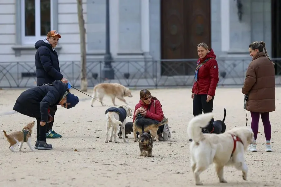 Un grupo de personas pasea a sus perros en un barrio madrileño. EFE/Mariscal