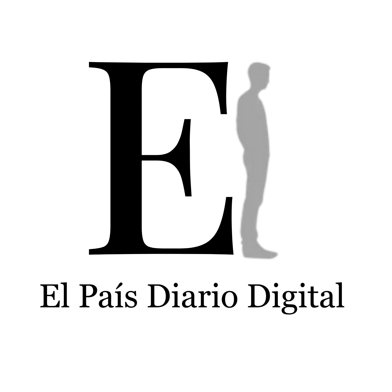 Elpaisdiariodigital